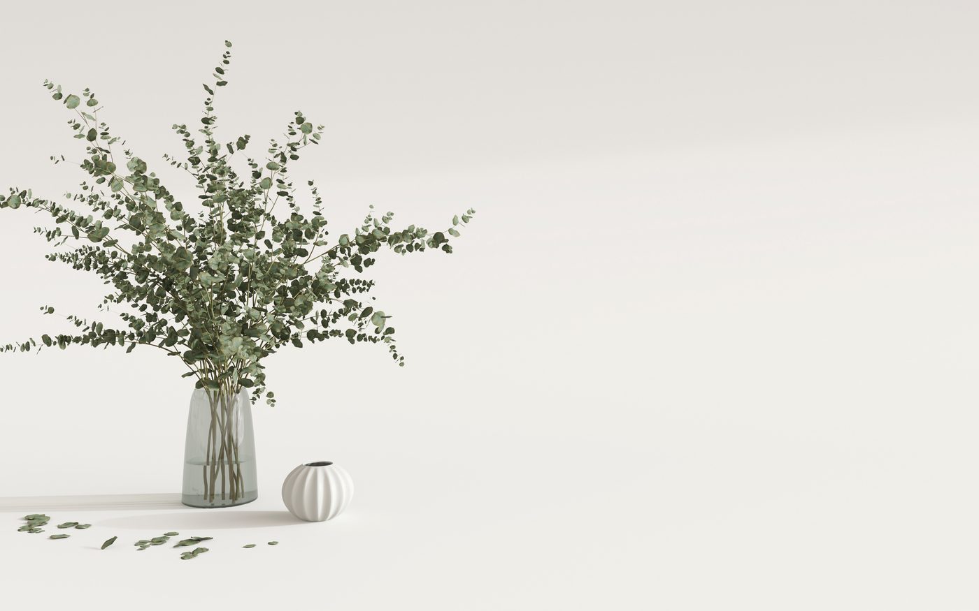 Un vase d’eucalyptus posé sur un plan entièrement dégagé